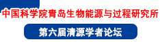 中國(guó)科學(xué)院青島生物能源與過程研究所第六屆清源學(xué)者論壇